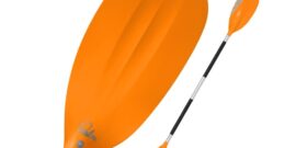 Palm Maverick Paddle