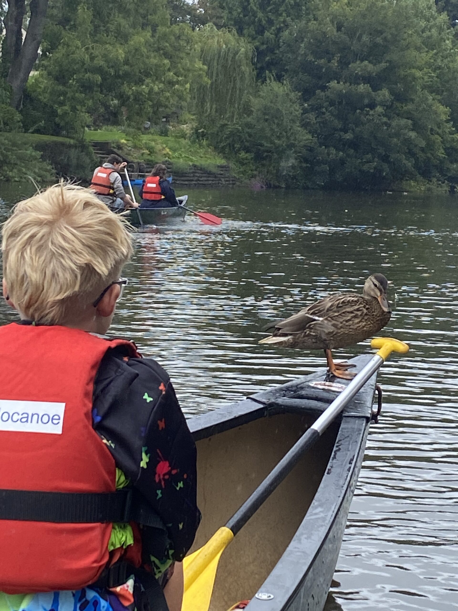 FamilyCanoe